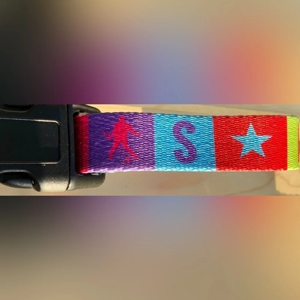 🕸️Elvis Color Block adjustable Dog Collar Snap Buckle